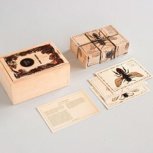 Blocs en bois – La vie d'une abeille Bee Species
