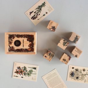 Blocs en bois – La vie d'une abeille Nectar-Rich Plants