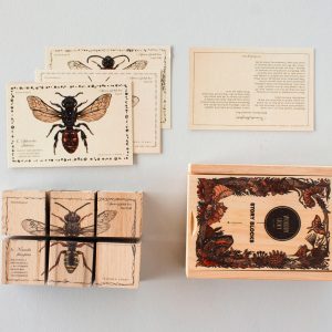 Blocs en bois – La vie d'une abeille Bee Species