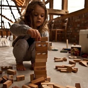 Blocs en bois dans un plateau – 30 pièces