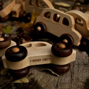 Houten speelgoed op wielen auto