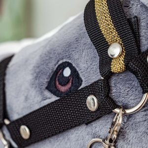 Hobby horse Silver Shadow