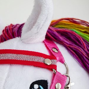 Steckenpferd Regenbogen