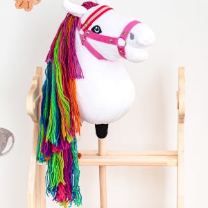 Steckenpferd Regenbogen