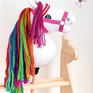 Steckenpferd Regenbogen